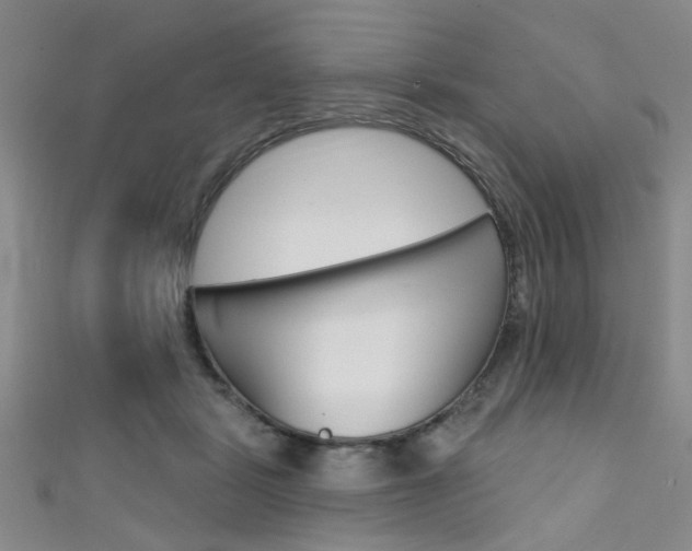 X0000111420461200907131023
