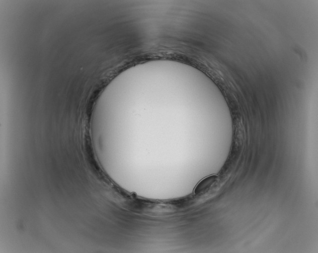 X0000111420463200907131023