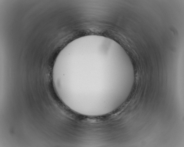 X0000111420464200907131023