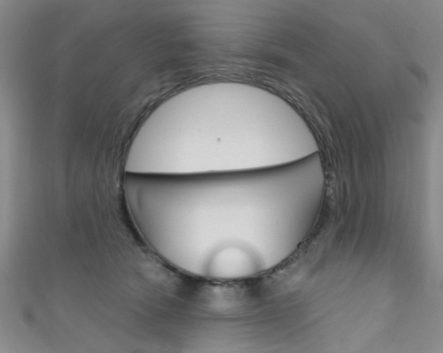 X0000111420466200907131023
