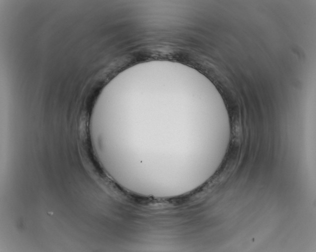 X0000111420468200907131023