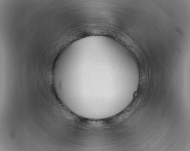 X0000111420469200907131023