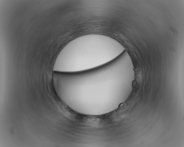 X0000111420471200907131024