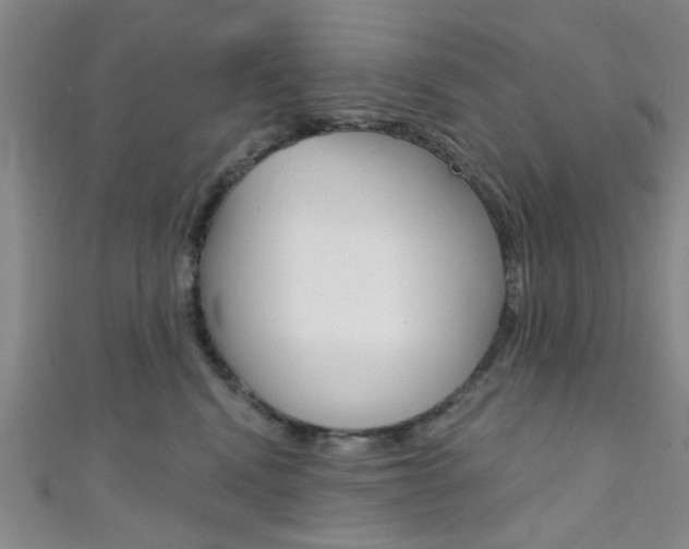 X0000111420472200907131024