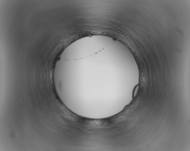 X0000111420473200907131024