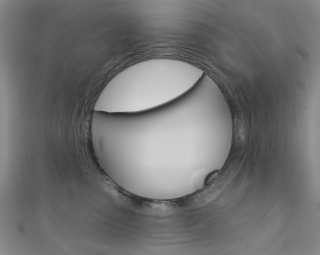 X0000111420475200907131024
