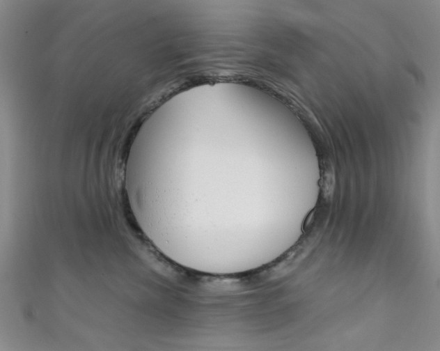 X0000111420476200907131024