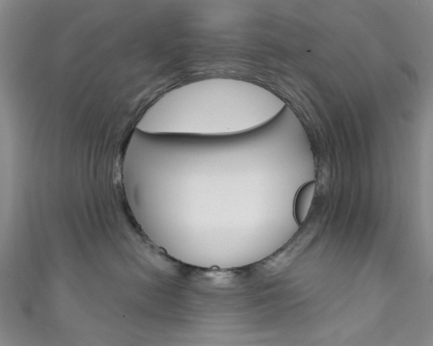 X0000111420478200907131024