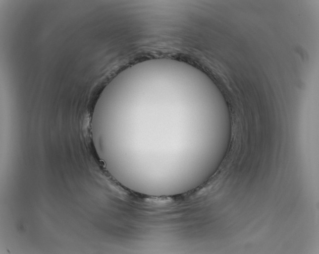 X0000111420480200907131024