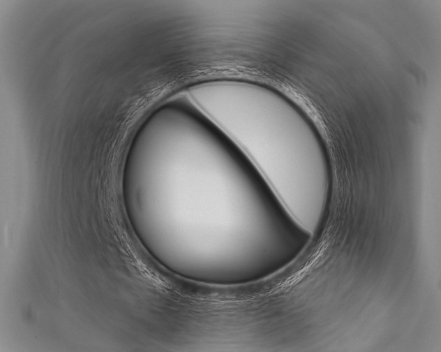 X0000111420481200907131023