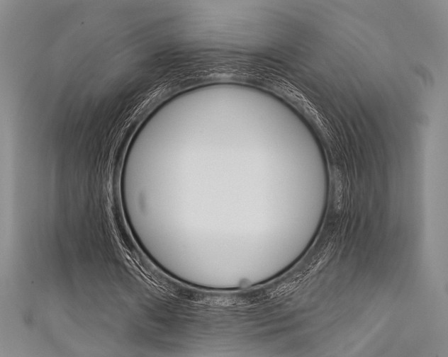 X0000111420482200907131023