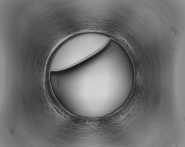 X0000111420484200907131023
