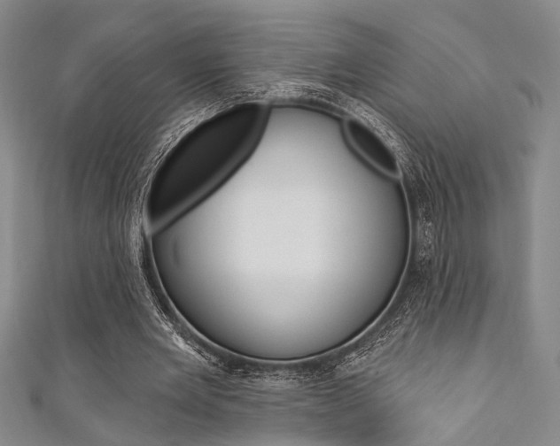 X0000111420485200907131023