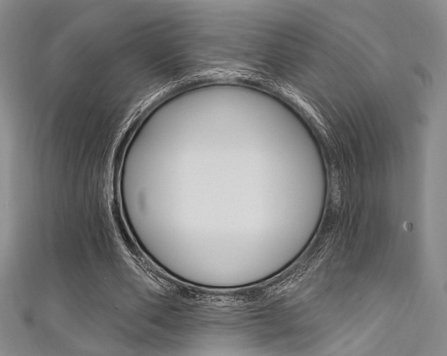 X0000111420486200907131023