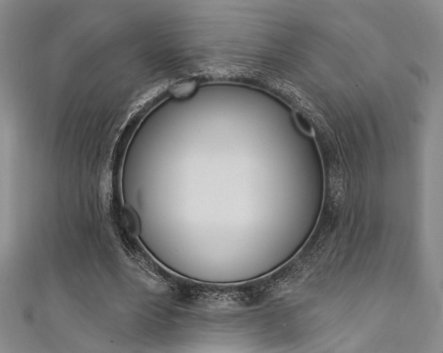 X0000111420488200907131023