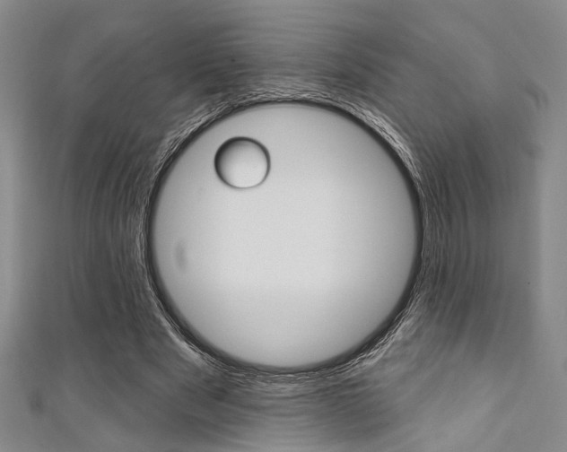 X0000111420489200907131023