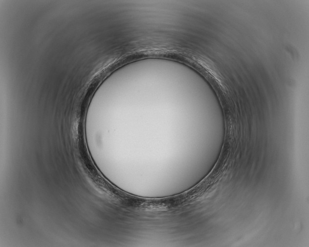 X0000111420491200907131023