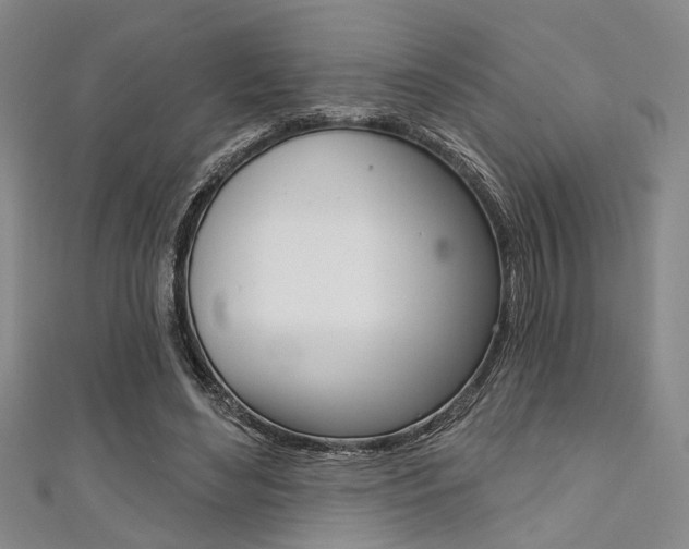 X0000111420492200907131023