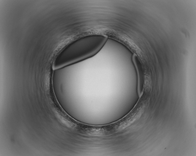 X0000111420493200907131023