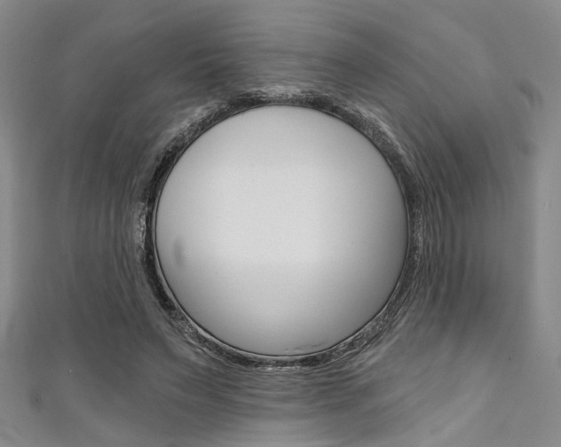 X0000111420495200907131023