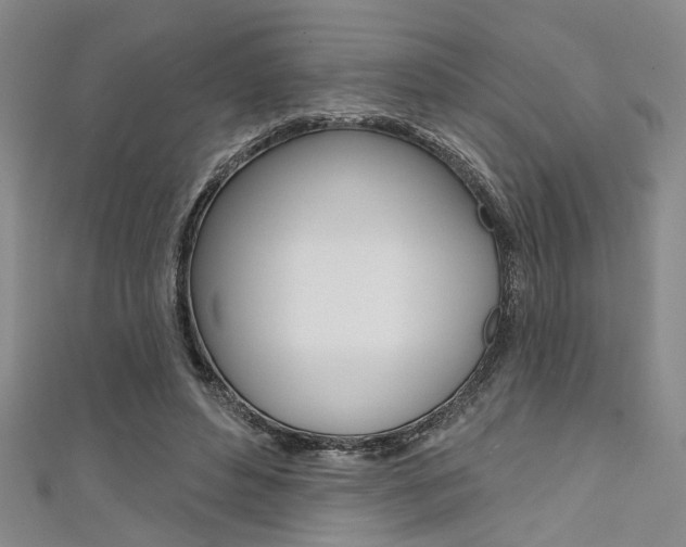 X0000111420496200907131023