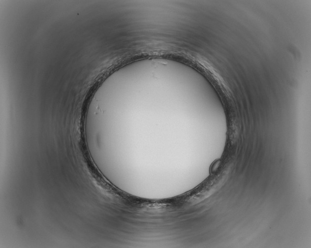 X0000111420497200907131023