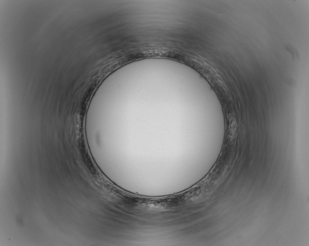 X0000111420498200907131023