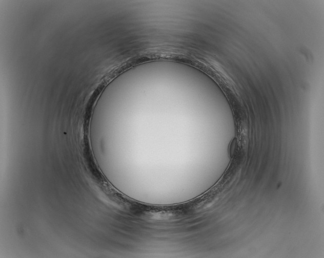 X0000111420500200907131023