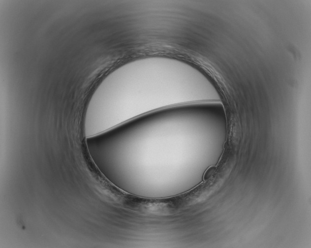 X0000111420501200907131023