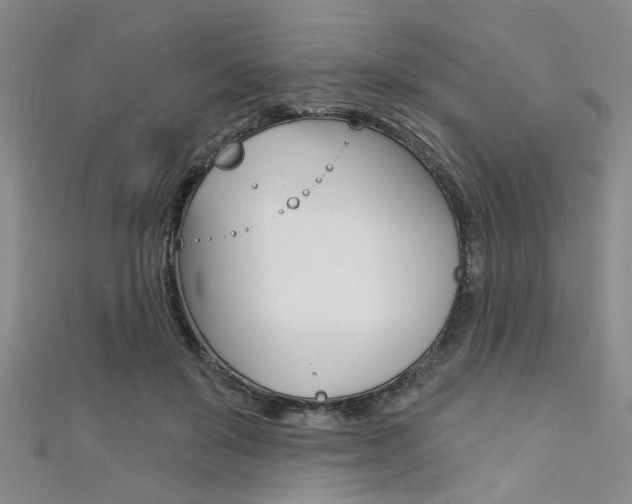 X0000111420503200907131023