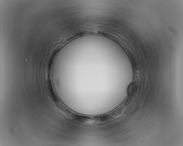 X0000111420504200907131023