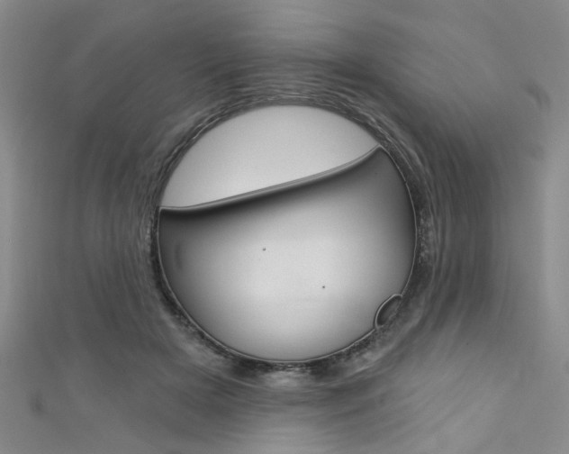 X0000111420505200907131023