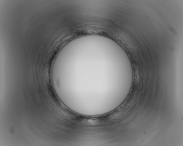 X0000111420506200907131023