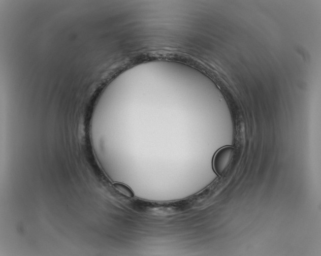 X0000111420508200907131023