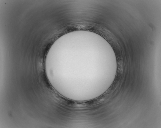 X0000111420510200907131023