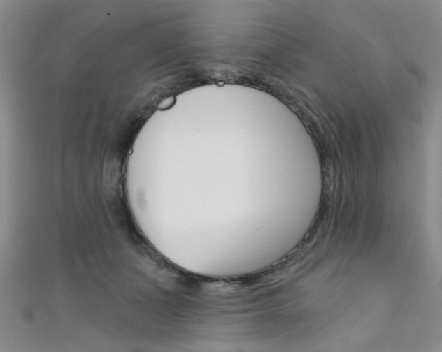 X0000111420511200907131023