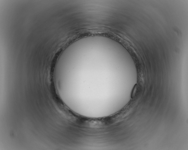 X0000111420512200907131023