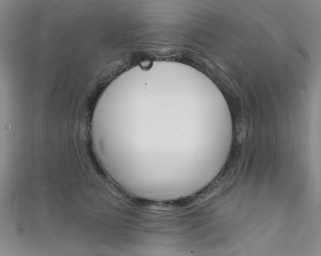 X0000111420515200907131023