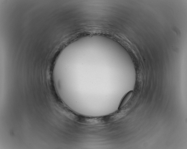 X0000111420516200907131023