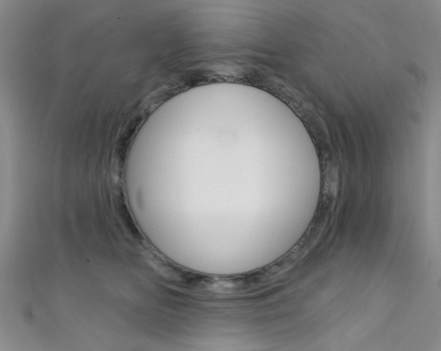 X0000111420518200907131023