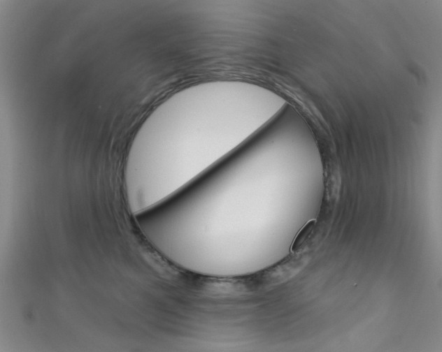 X0000111420521200907131022