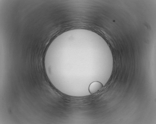 X0000111420524200907131022