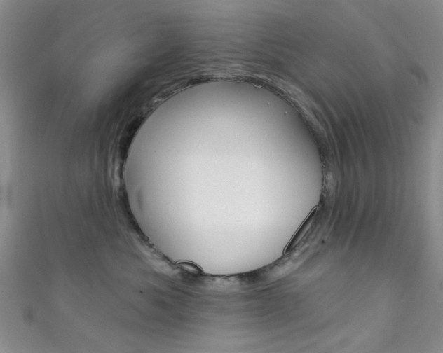 X0000111420525200907131022