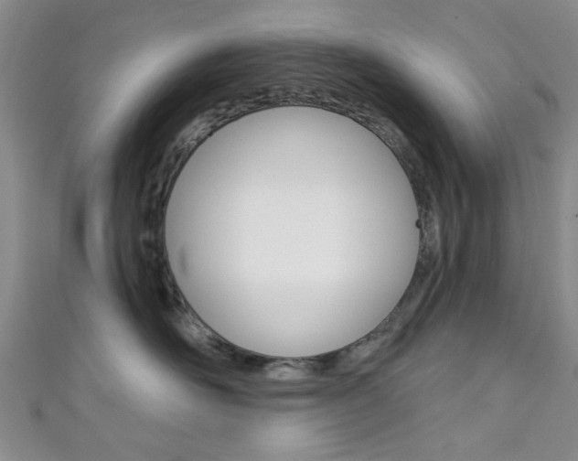 X0000111420526200907131022