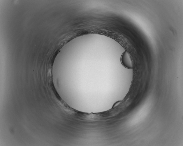 X0000111420527200907131022