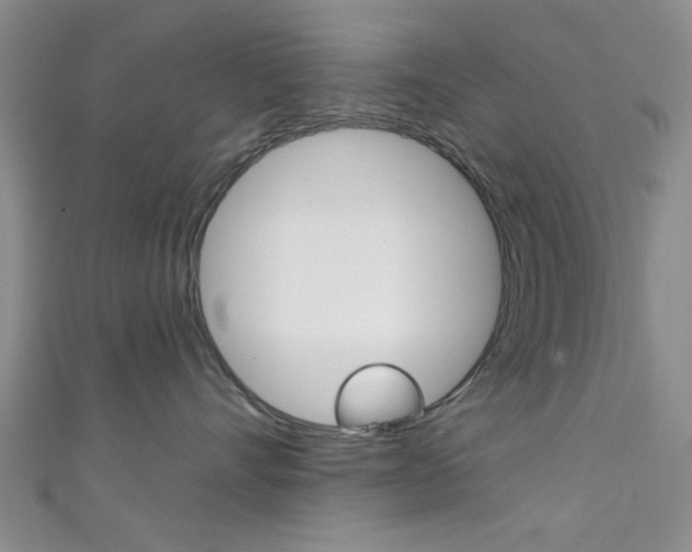X0000111420528200907131022