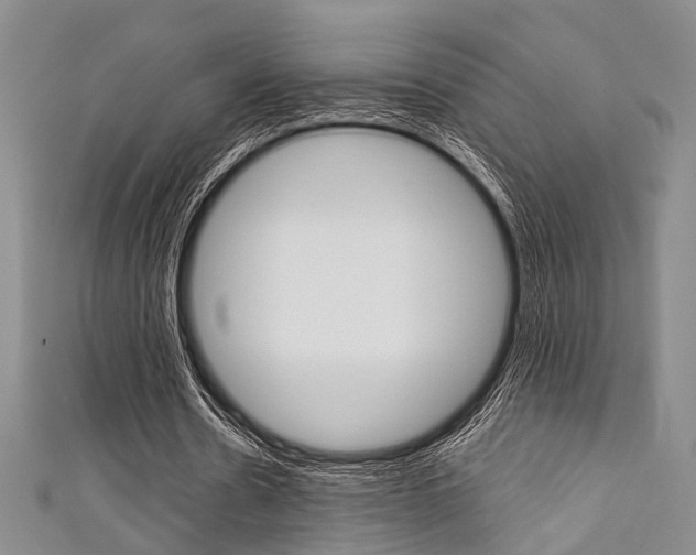 X0000111420530200907131022