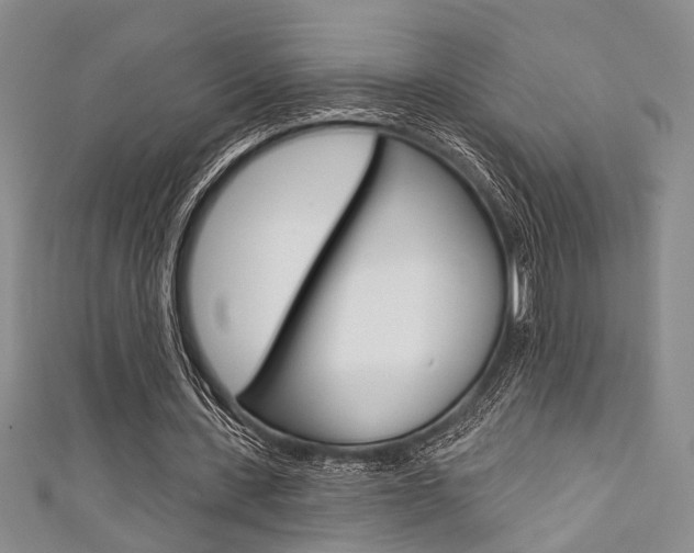 X0000111420531200907131022