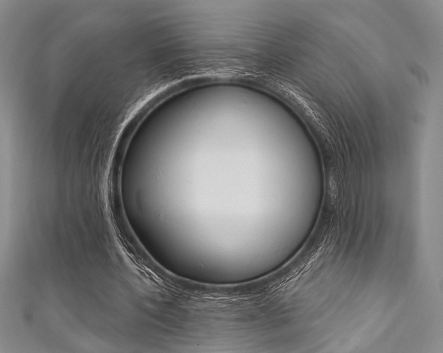 X0000111420532200907131022