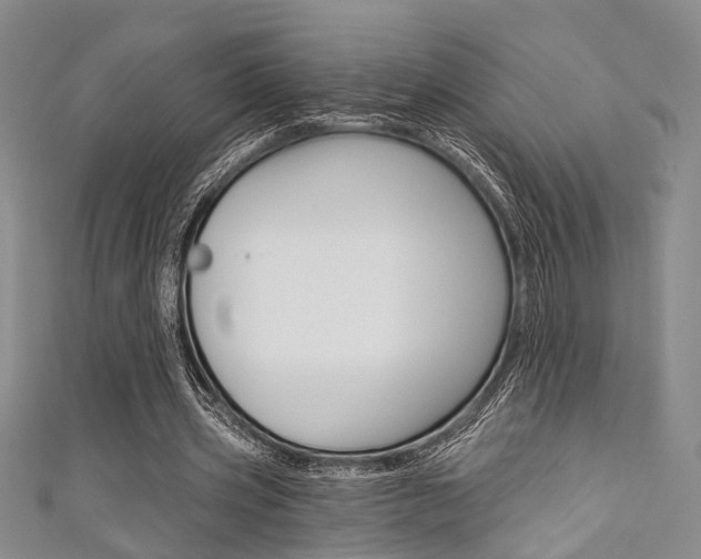 X0000111420533200907131022